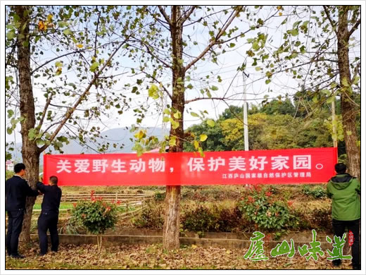 庐山保护区积极开展“野生动物保护宣传月”活动