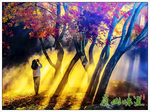 庐山景区:央视大型专题纪录片《长江之歌》摄制组来庐山拍摄