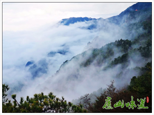 庐山景区:冬日的庐山牯岭山城云雾缭绕宛如仙境