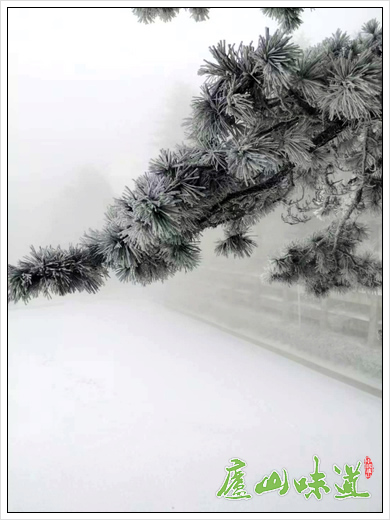 庐山降大雪景区多部门联动确保庐山旅游畅通