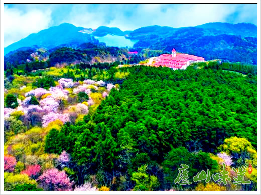 庐山天然氧吧:五百余名抗“疫”英雄赴庐山休养