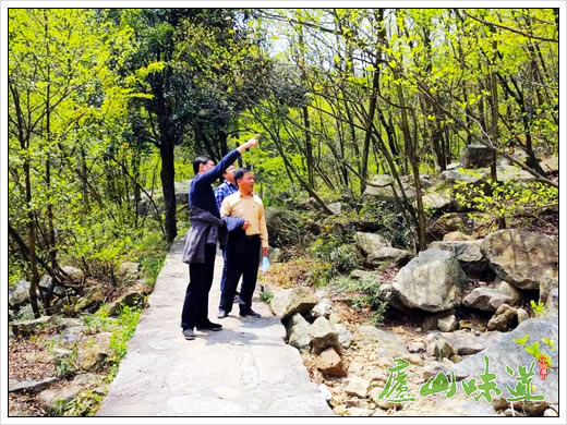 庐山风景名胜管理处对庐山景区景点进行安全工作检查