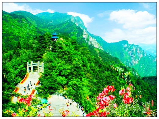 庐山景区:清明小长假庐山旅游呈现回暖态势