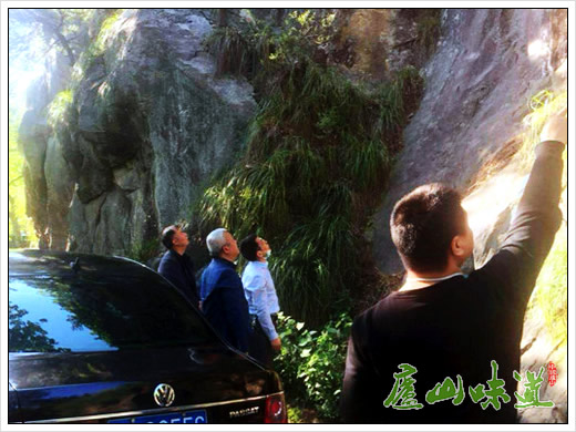 庐山景区开展迎“五一”庐山旅游旺季防汛、防雷、防地灾专项检查