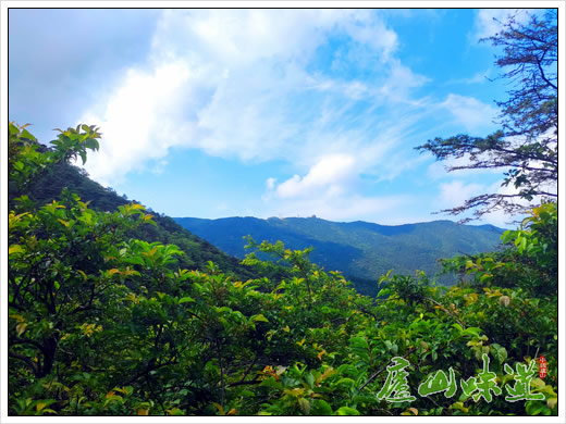 多措并举庐山经作站开展庐山旅游秩序集中整治