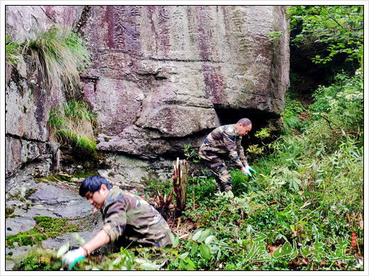 庐山风景处推进庐山旅游环境和旅游秩序集中整治工作