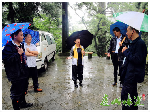 确保庐山游客生命和财产安全 庐山风景名胜管理处牢筑防汛安全线