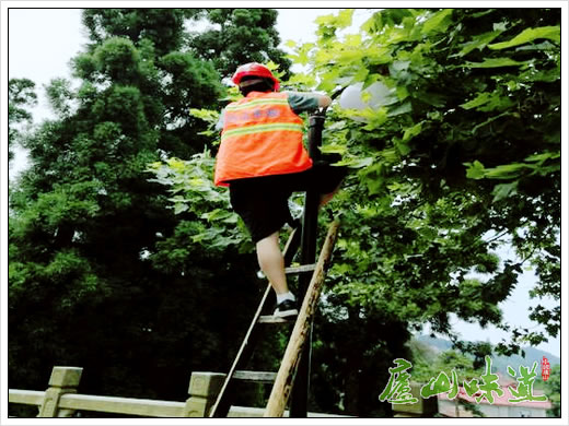 庐山:做好灾后维护庐山市政所以优美环境迎接庐山旅游旺季的到来