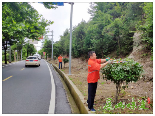 庐山天下悠:庐山南北山公路上的园艺师——庐山公路