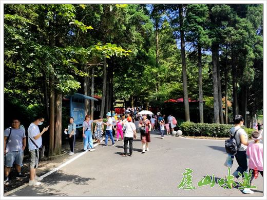 庐山天下悠:庐山景区暑期游“末班车”热度不减