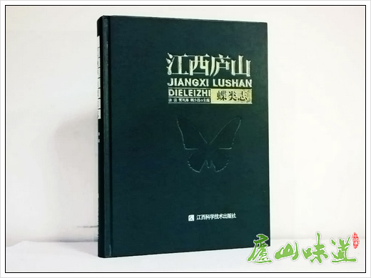 庐山天下悠:庐山保护区出版发行科研成果力作《江西庐山蝶类志》