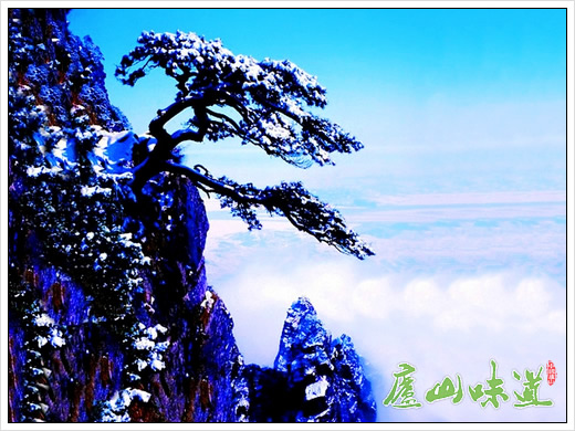关于庐山风景区南北山公路恢复正常通行的通告