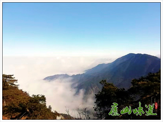 近日,庐山大月山,五老峰,仰天坪现2021年首场壮阔云海.