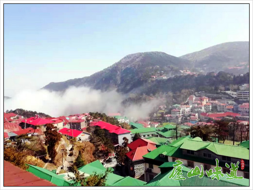 庐山天下悠:庐山牯岭现“云海雾凇旭日升”冬晨美景