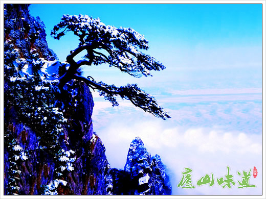 庐山风景区春节期间门票优惠政策