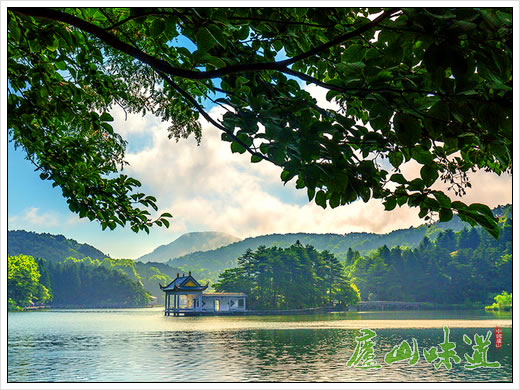 庐山天下悠:庐山春节旅游黄金周天好景美人和谐