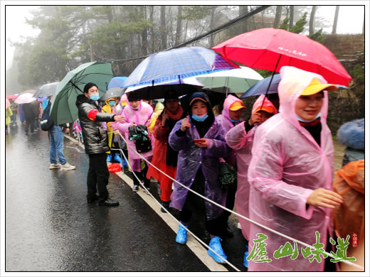 庐山景区管维中心多项举措积极应对“三八”游客潮