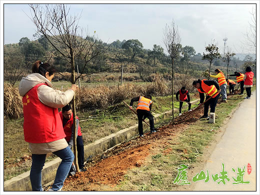 庐山天下悠:庐山公路分局开展义务植树活动