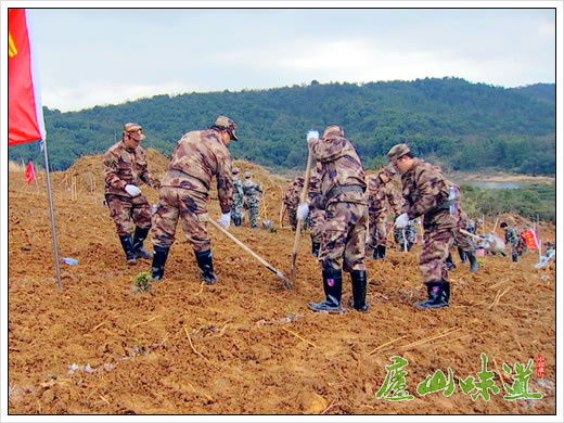 庐山军民同心助力庐山云雾茶产业园建设
