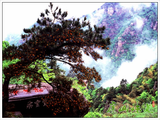 庐山景区花径仙人洞管理所启动修枝现景工作