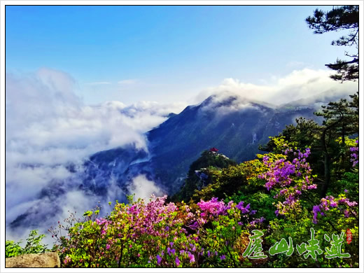 庐山天下悠:庐山旅游迎五一全员培训加速“赋能”