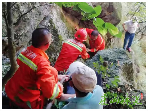 为采摘庐山石耳麻痹大意引发山火幸被庐山多部门联合扑灭