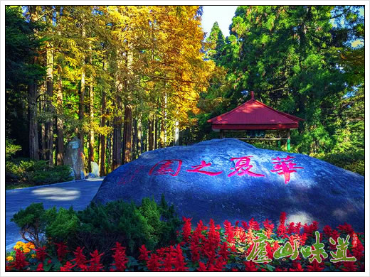 庐山天下悠:庐山植物园秋色满园尽显庐山“秋如醉”