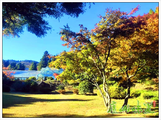 庐山景区:庐山植物园即将开启“秋色醉远山”第六届红叶节