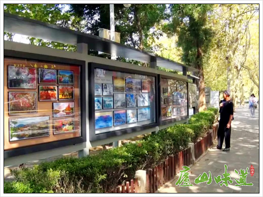 庐山景区:“庐山天下悠”风光图片长廊在庐山牯岭街心公园开展