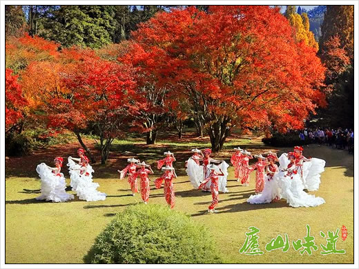 庐山天下悠:庐山植物园入选中国植物学会科普教育基地