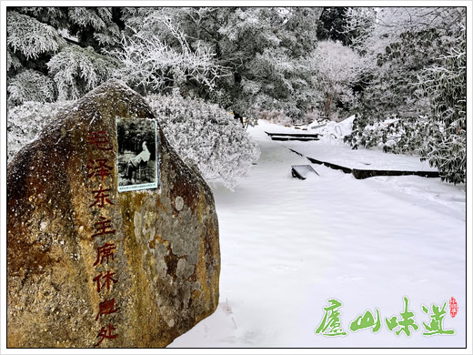 庐山天下悠:庐山初雪 冬宜密雪 有碎玉声