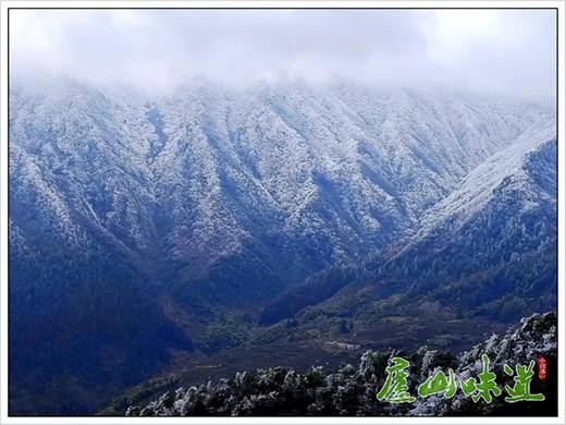 庐山景区:庐山自然保护区红外相机监测成果再次亮相央视一套