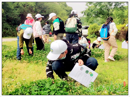 庐山景区:中科院庐山植物园入选首批57个国家林草科普基地