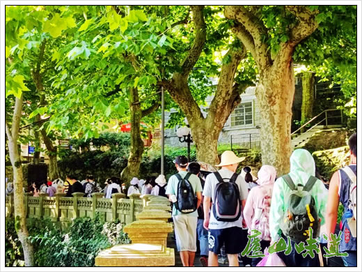 庐山天下悠:庐山交通索道暑期“亲子游”“学子游”开始升温