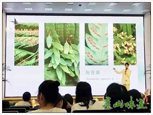 庐山景区:庐山植物园首次参与全国林业和科普讲解大赛获奖