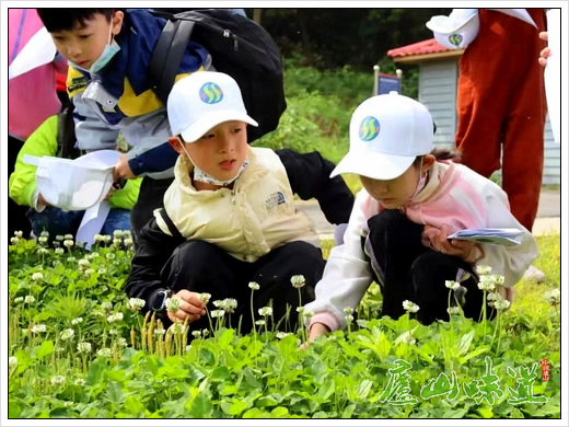 庐山植物园科普活动入选生态环境部宣教中心教育典型案例