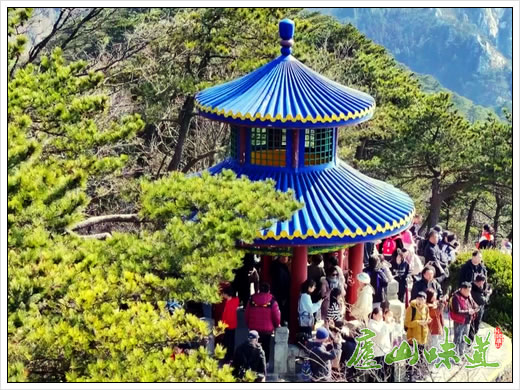 庐山景区:春节假期庐山冬景括南北游客“迁徙”赛国庆