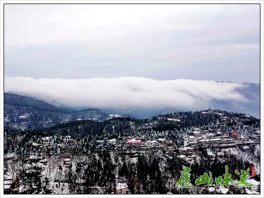庐山景区:庐山仰天坪现壮阔云瀑景观