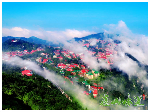 庐山天下悠:临近暑期庐山景区宾馆酒店入住率持续攀升
