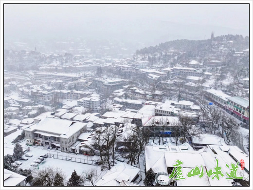 庐山天下悠:仙境庐山春雪至!漫山玉树琼枝宛如冰雪童话世界