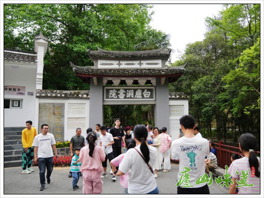 庐山天下悠:庐山景区五一游客接待量进入全国前十