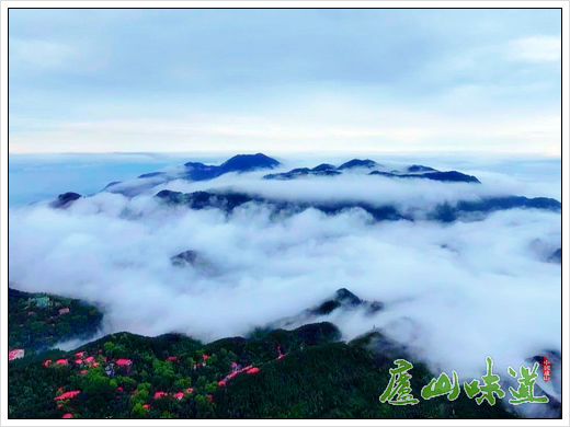 庐山天下悠:庐山风景区汉阳峰等多地现壮阔瀑布云景观
